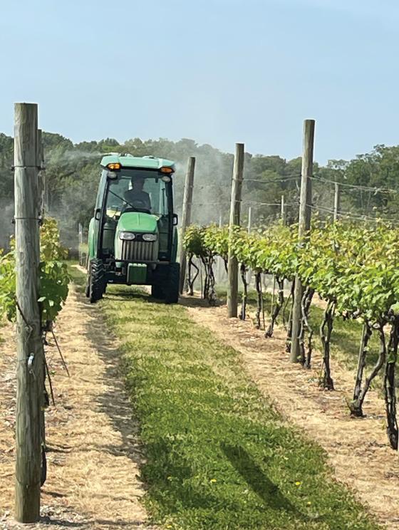 Image for Fully Operating Vineyard in Cape May Courthouse, NJ