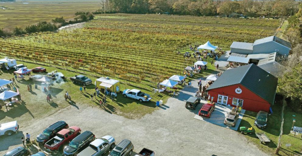 Image for Fully Operating Vineyard in Cape May Courthouse, NJ