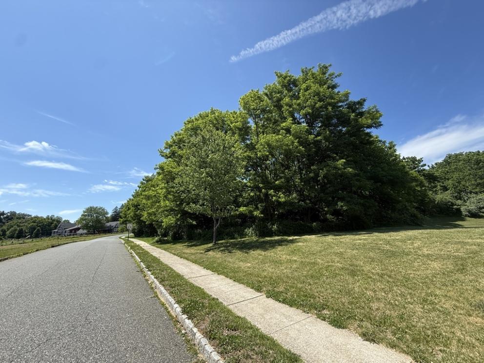 Image for Five Residential Lots Sold Individually in Hampton, Hunterdon County, NJ
