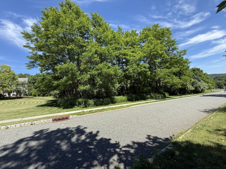 Image for Five Residential Lots Sold Individually in Hampton, Hunterdon County, NJ