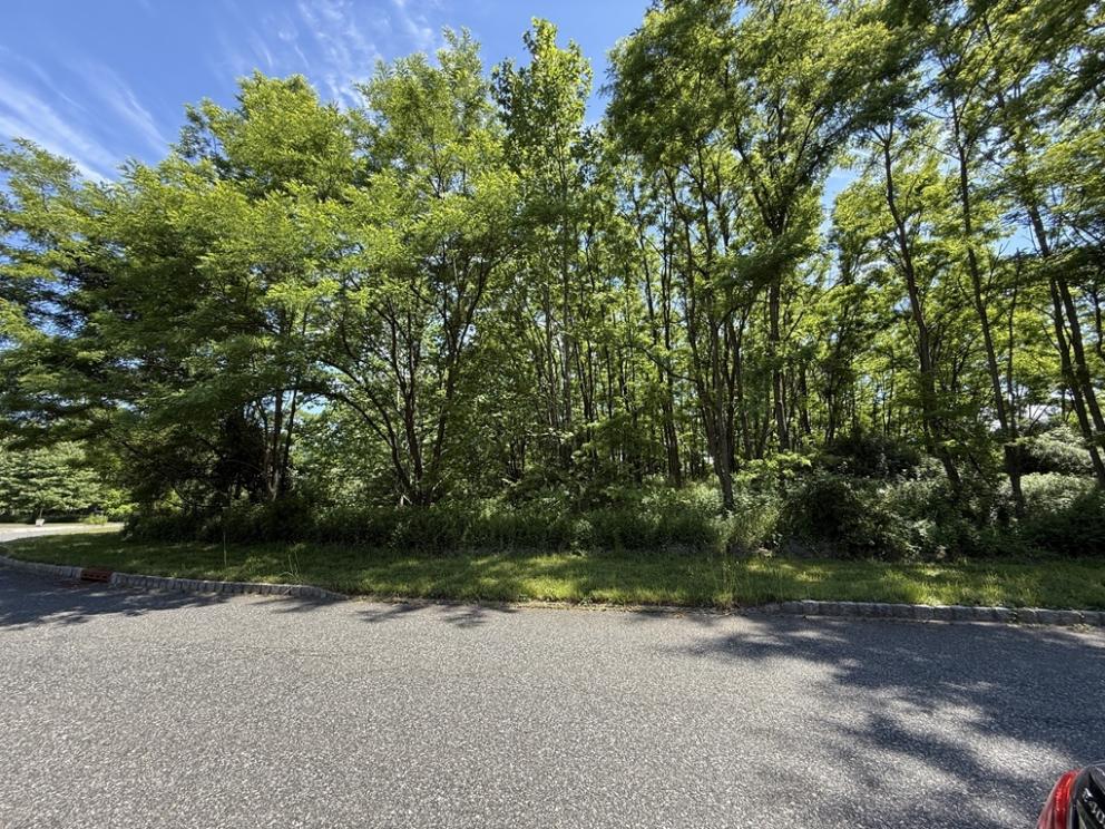 Image for Five Residential Lots Sold Individually in Hampton, Hunterdon County, NJ