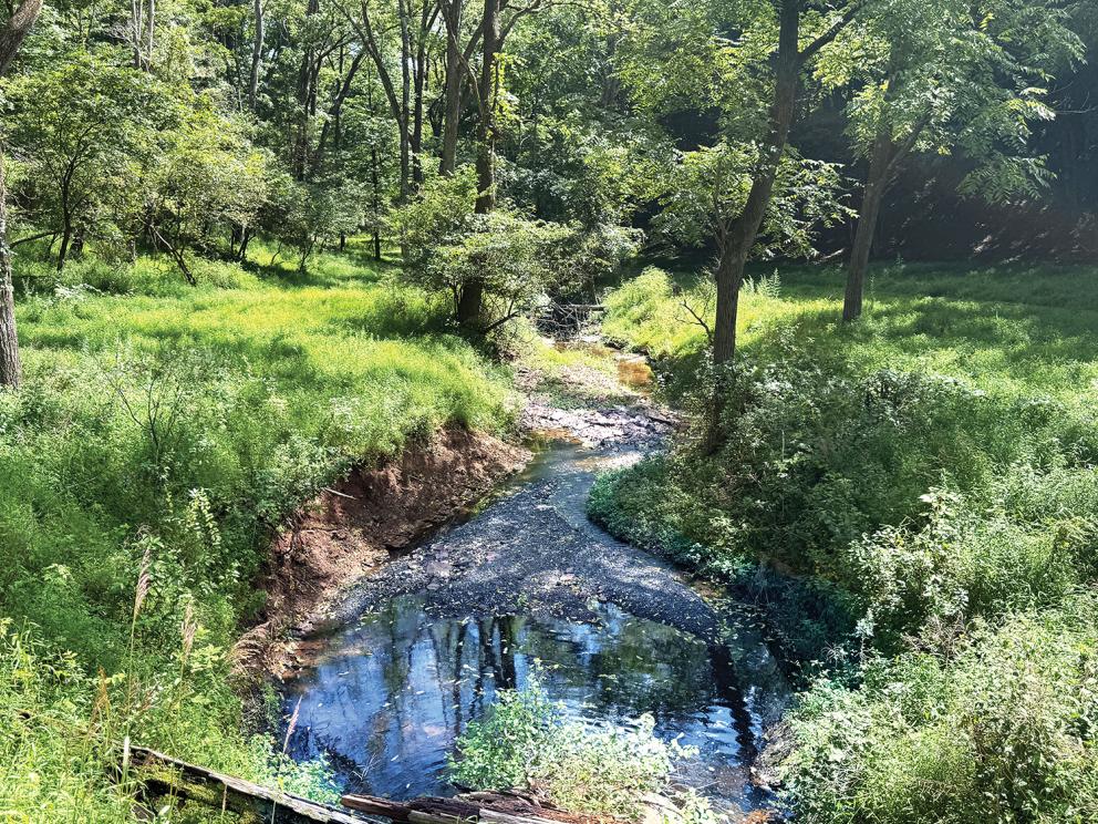 Image for 30+/- Acre Non-Preserved “Saam Farm”