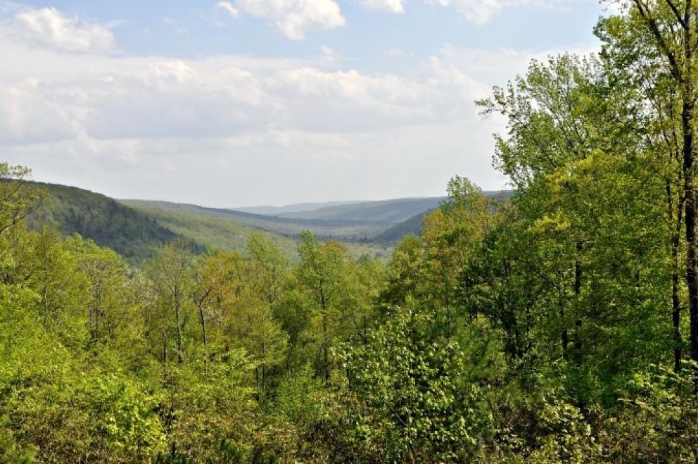 Image for 1500 Acres Catskills Mountain Region,NY-SOLD!