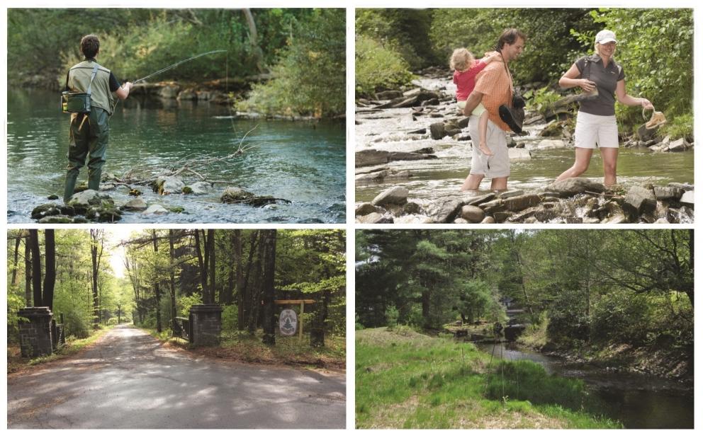 Image for 1500 Acres Catskills Mountain Region,NY-SOLD!