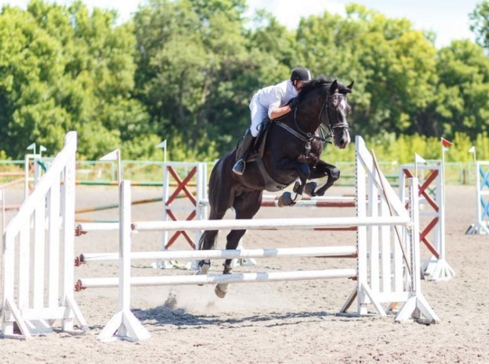 Image for Major Land Offering in Bedminster, NJ-SOLD!