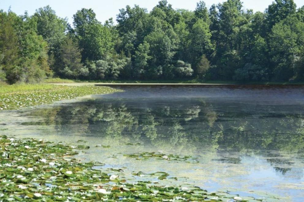 Image for Major Land Offering in Bedminster, NJ-SOLD!