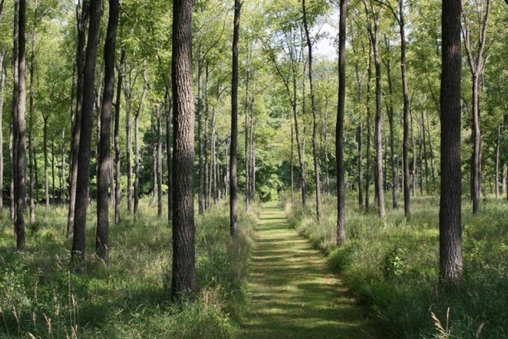 Image for 62 Acre Preserved Farm, Mendham Twp,NJ-SOLD!