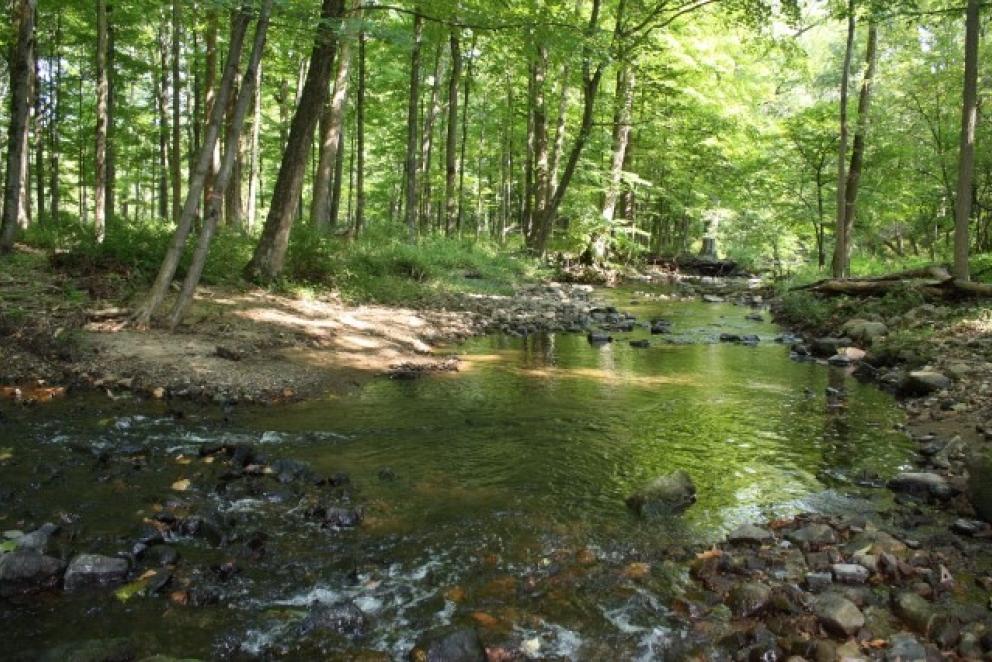 Image for 62 Acre Preserved Farm, Mendham Twp,NJ-SOLD!