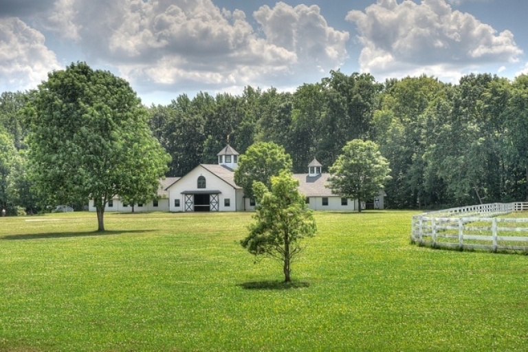Image for 128 Acre Majestic Equestrian Estate,Cream Ridge,NJ-SOLD!