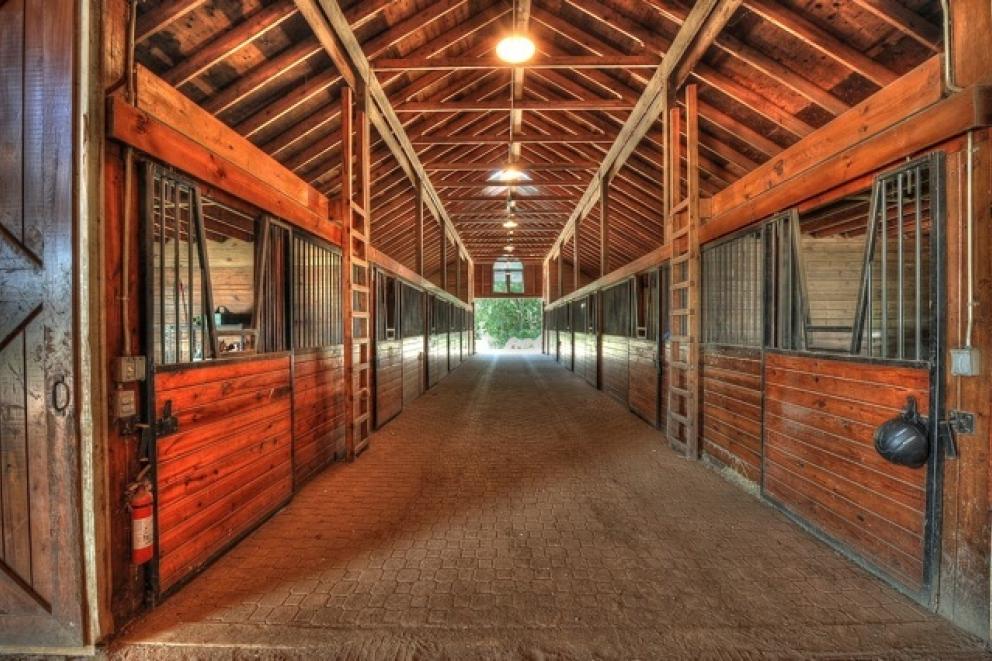 Image for 128 Acre Majestic Equestrian Estate,Cream Ridge,NJ-SOLD!