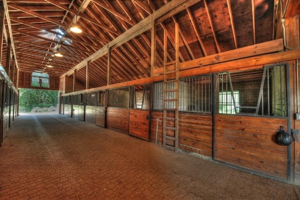 Image for 128 Acre Majestic Equestrian Estate,Cream Ridge,NJ-SOLD!