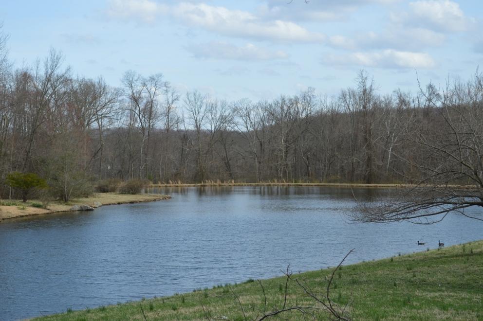 Image for 97 Acres Farmland, Chester County,PA-SOLD!