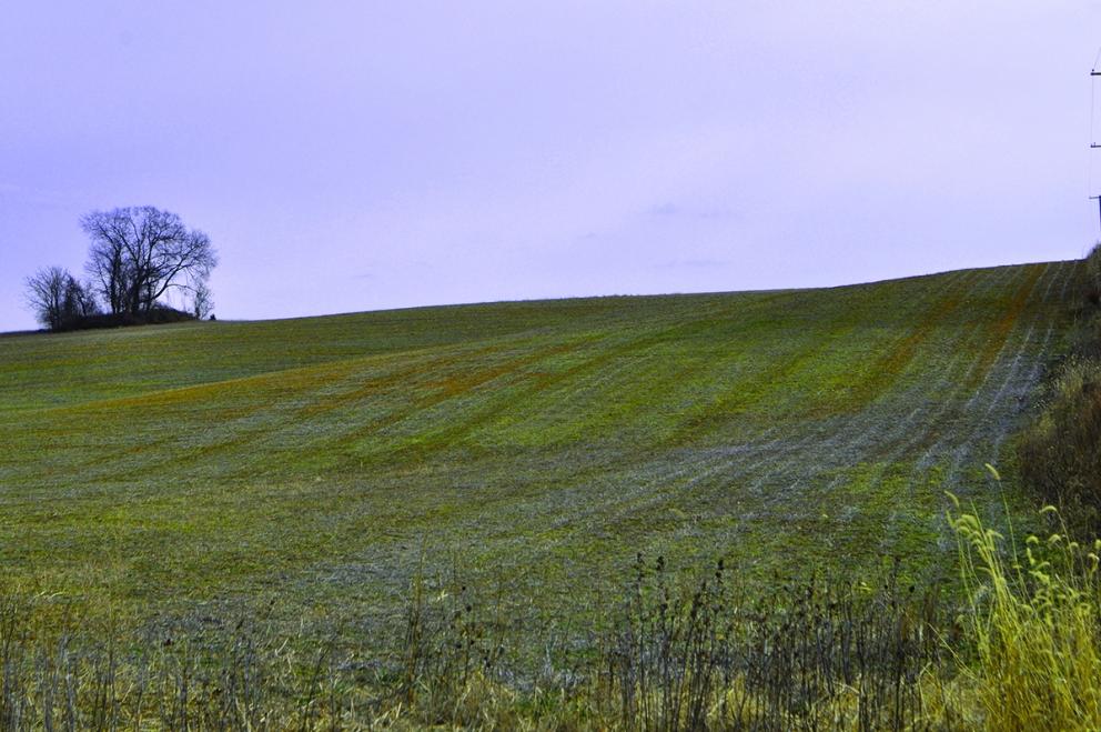 Image for Majestic Rolling 201 Acre Farmland with Dramatic Views of the Delaware River Valley-SOLD!