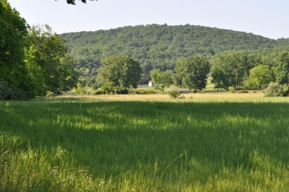 Image for 91.9 Acre Hunterdon County Farm, Franklin Twp,NJ-SOLD!