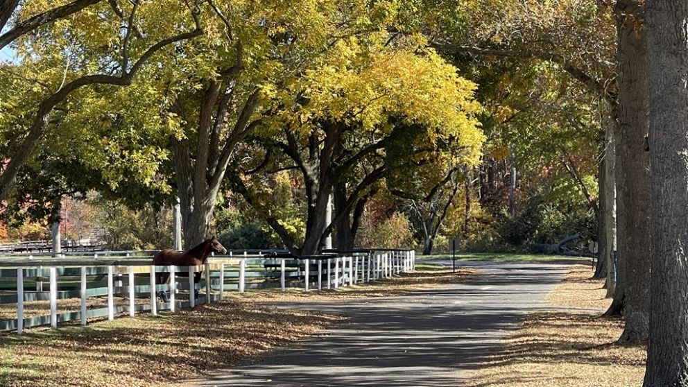 Overbrook Farm in Colts Neck, which has a storied history of training racehorses, is up for sale.