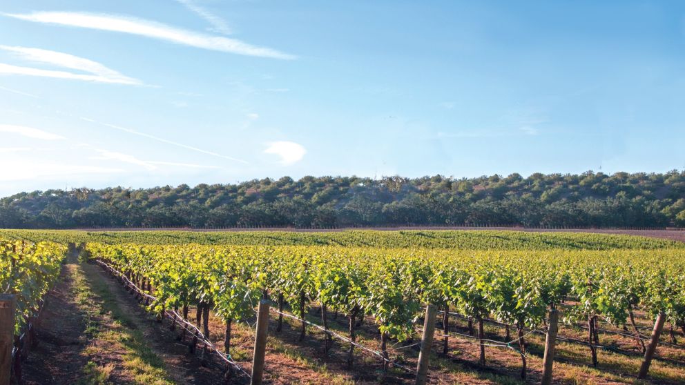 Cape may court house cover