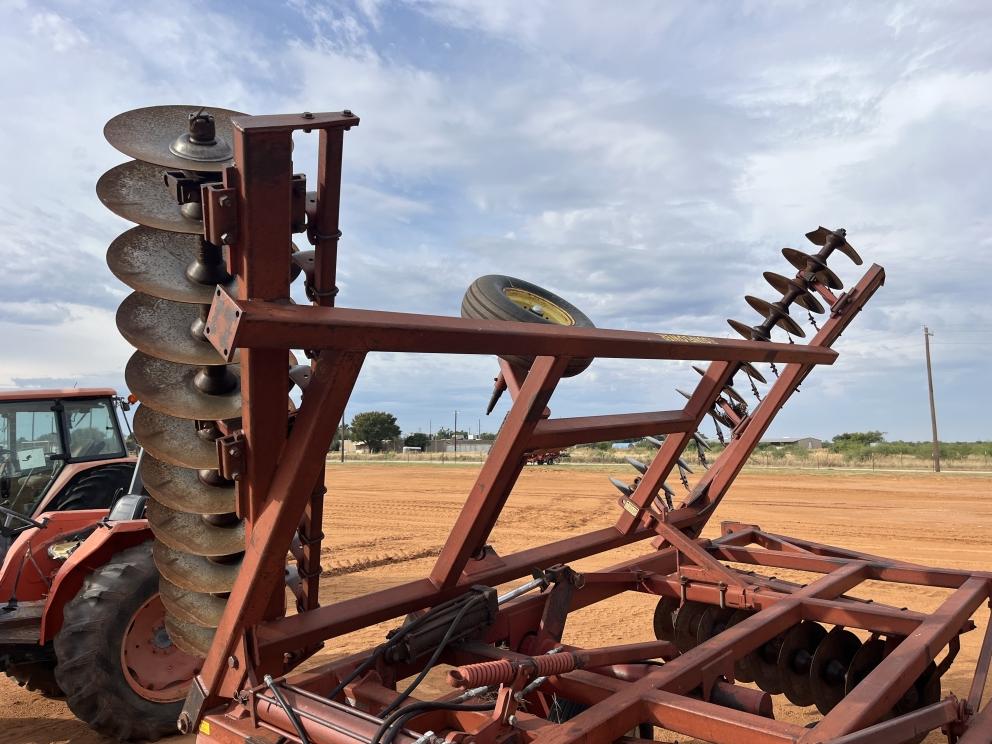 Image for Sunflower 1441-29