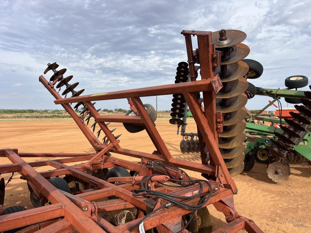 Image for Sunflower 1441-29