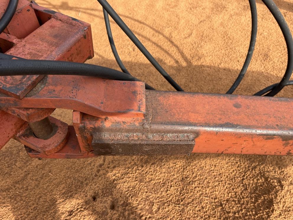 Image for Sunflower 1441-29