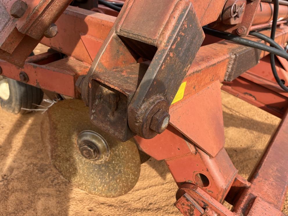 Image for Sunflower 1441-29