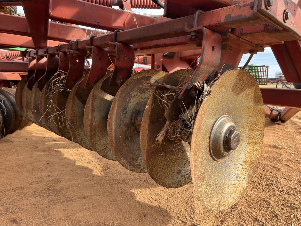 Image for Sunflower 1441-29