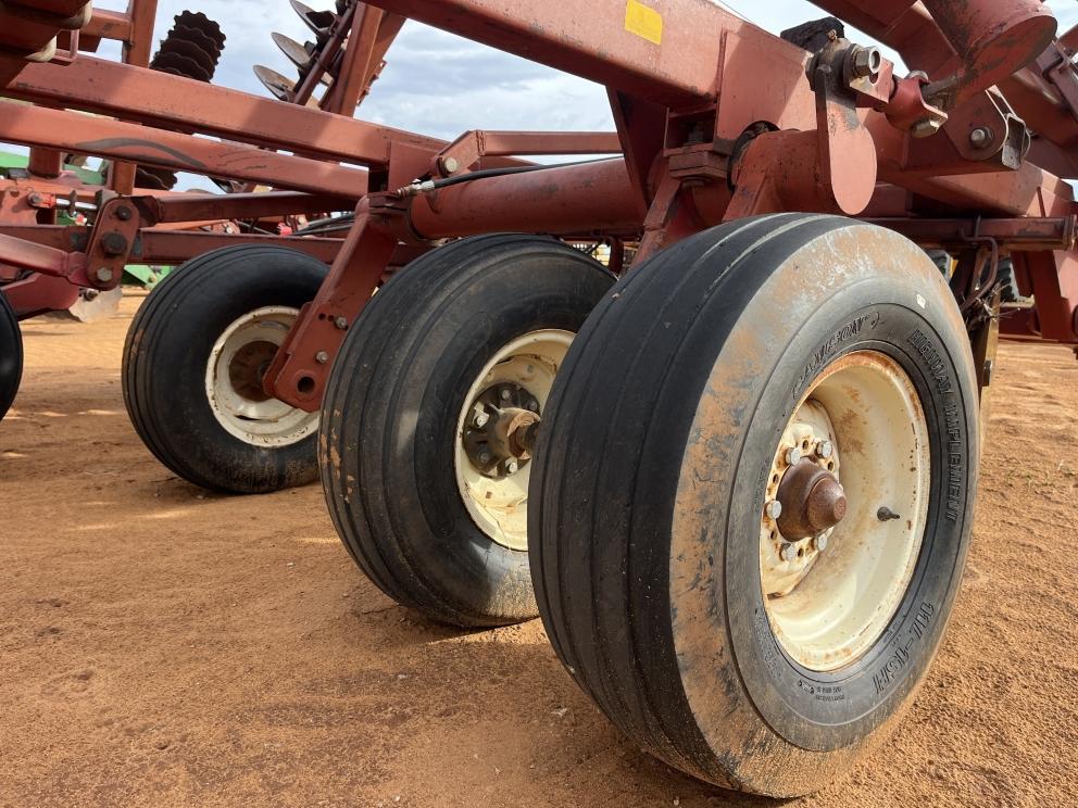 Image for Sunflower 1441-29