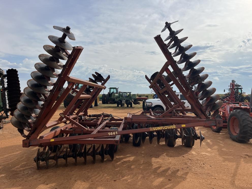 Image for Sunflower 1441-29