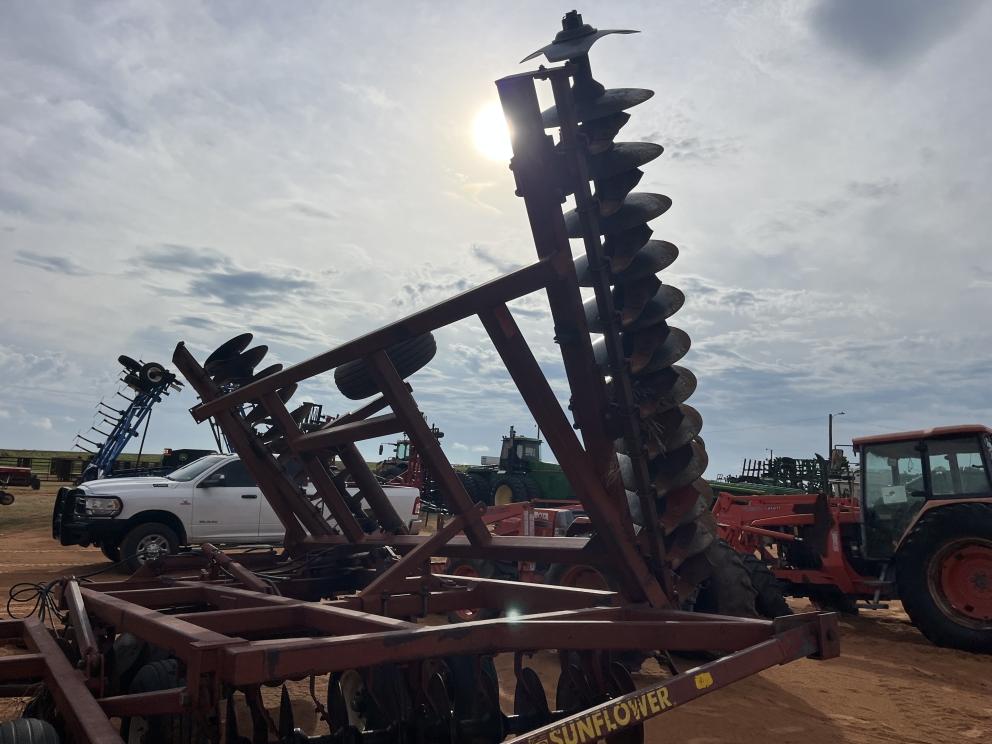 Image for Sunflower 1441-29