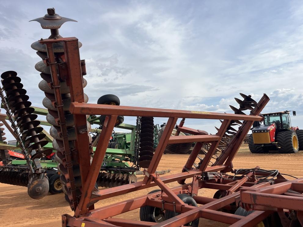 Image for Sunflower 1441-29