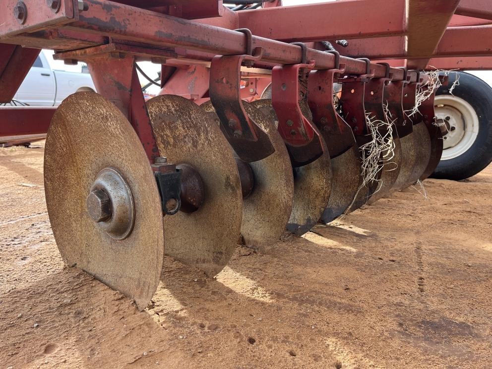 Image for Sunflower 1441-29