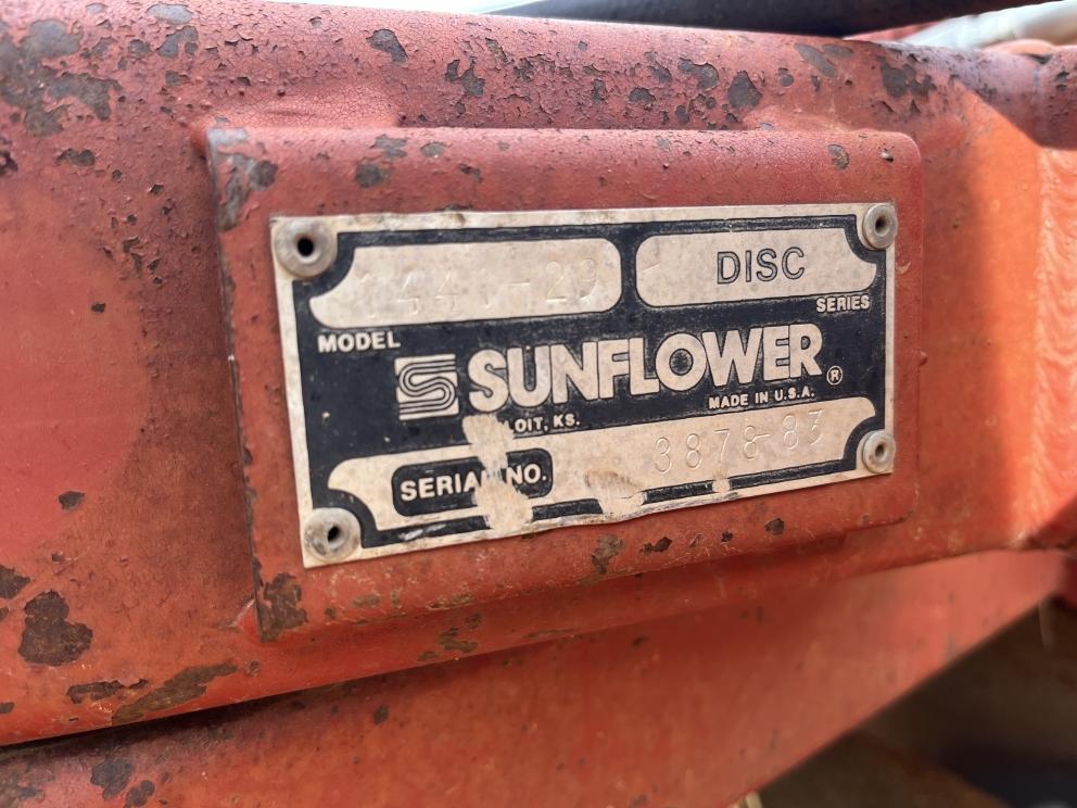 Image for Sunflower 1441-29