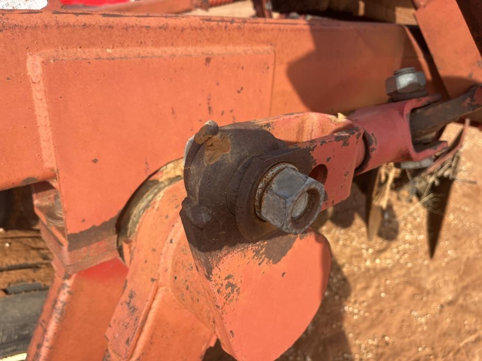 Image for Sunflower 1441-29