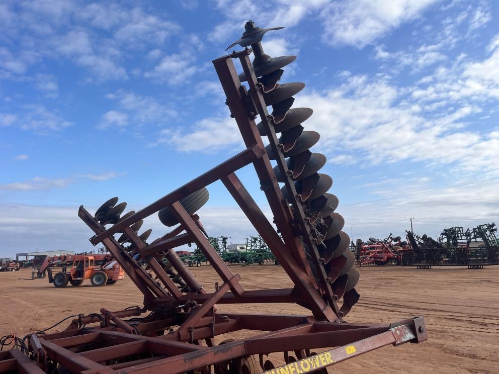 Image for Sunflower 1441-29