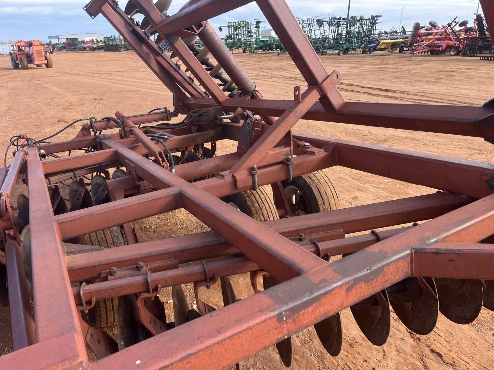 Image for Sunflower 1441-29