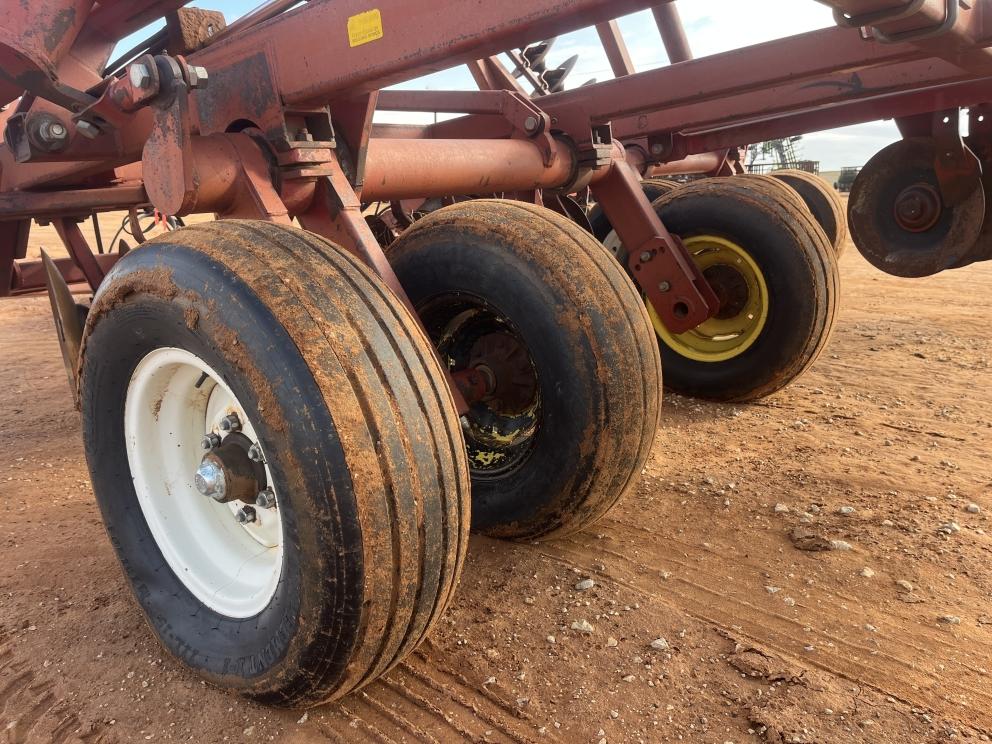 Image for Sunflower 1441-29