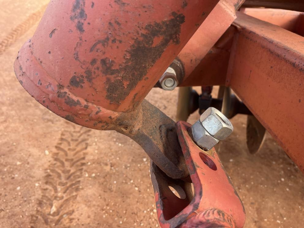 Image for Sunflower 1441-29