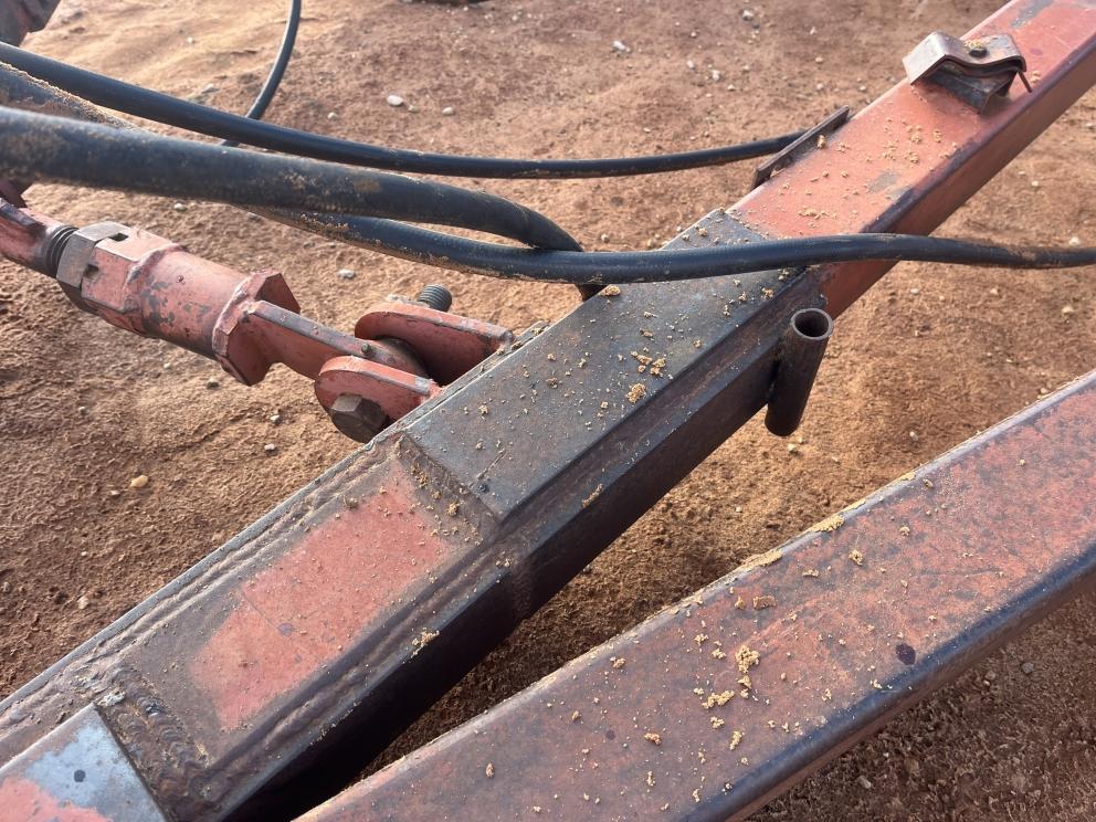 Image for Sunflower 1441-29