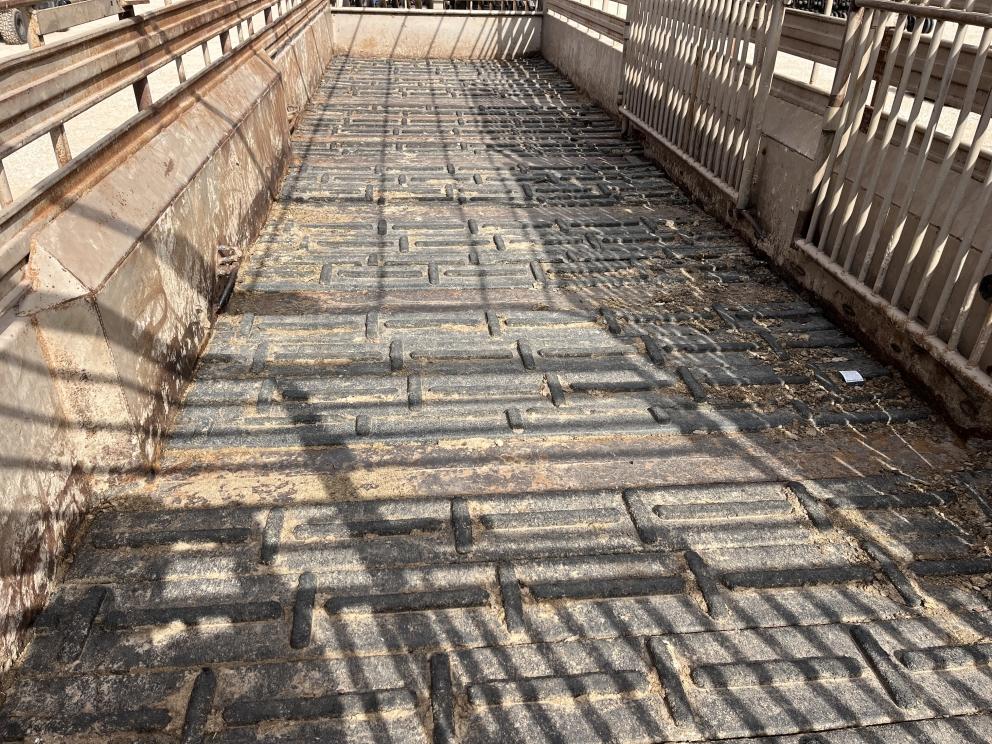 Image for 2010 Gooseneck