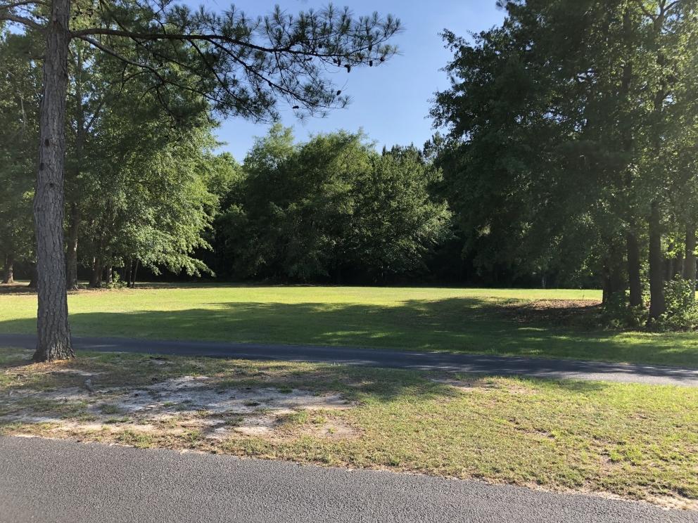 Image for Builder Lot: +/-1.00 acre lot on Woodlake Drive in Manning, SC