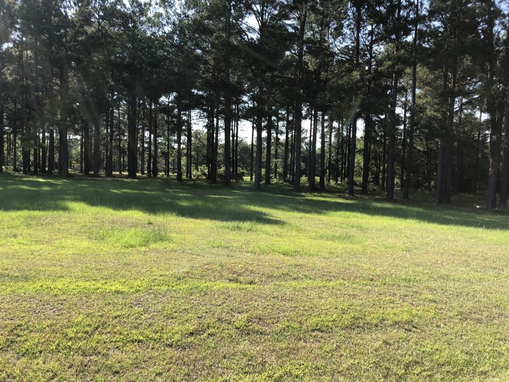 Image for Builder Lot: +/-1.12 acre lot on Pinelake Court in Manning, SC