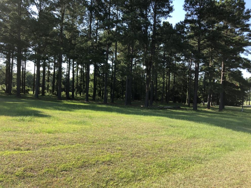 Image for Builder Lot: +/-1.12 acre lot on Pinelake Court in Manning, SC