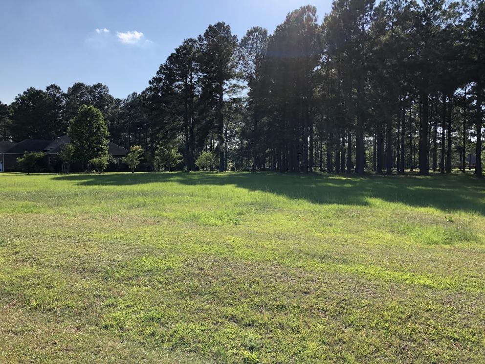 Image for Builder Lot: +/-1.12 acre lot on Pinelake Court in Manning, SC