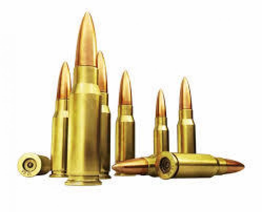 Image for New Year Sporting and Shooting Event