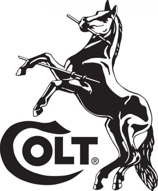 Colt-horse