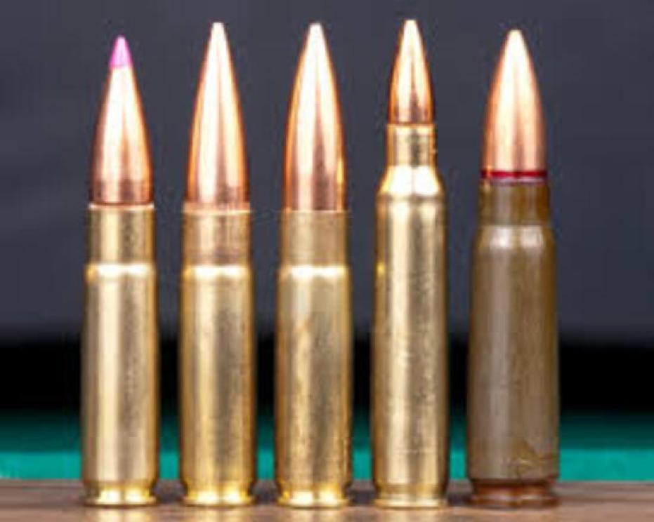 Image for End of July 2022 Ammunition and Shooting Auction
