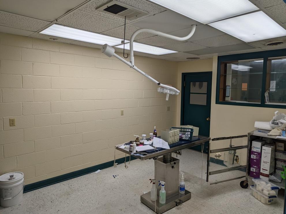 Image for 13,100± SF Veterinarian Hospital: Marion, SC