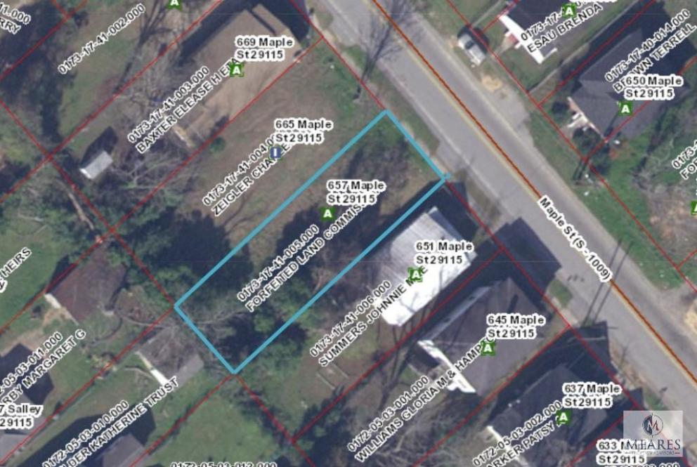 Image for 45 Properties for the Orangeburg, SC Forfeited Land Commission