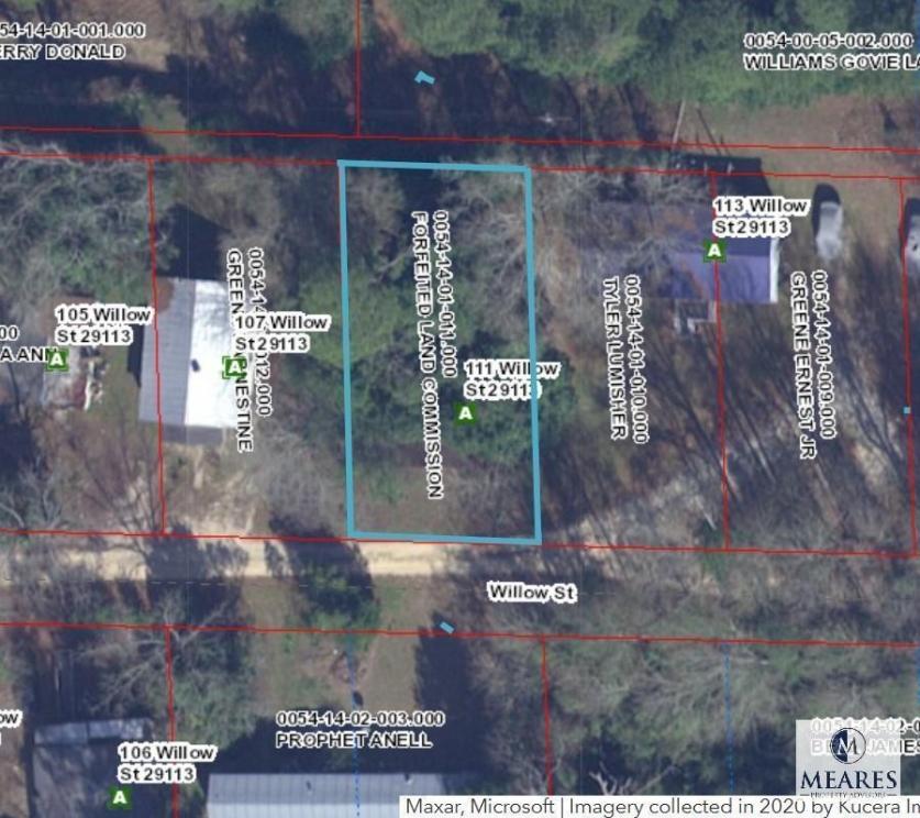 45 Properties for the Orangeburg, SC Forfeited Land Commission