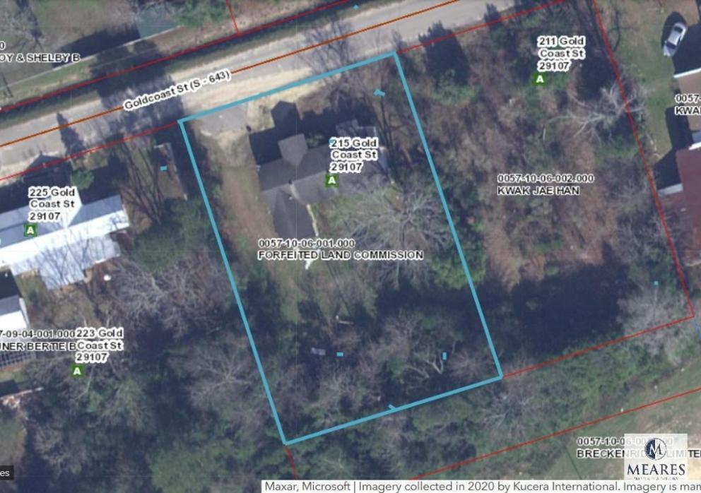 Image for 45 Properties for the Orangeburg, SC Forfeited Land Commission