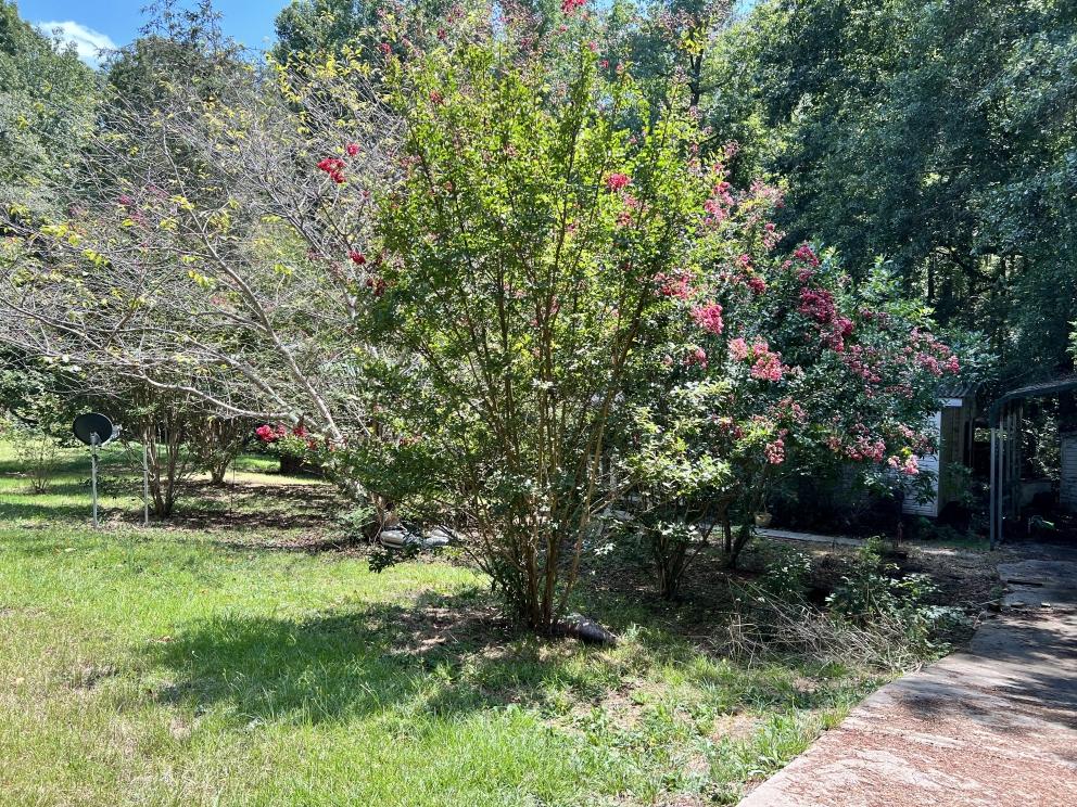 Image for 312 LaFrance Road, Anderson, SC, Real Estate